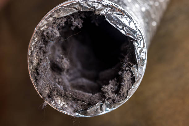 Best Affordable Duct Cleaning Services  in Lwa, CA